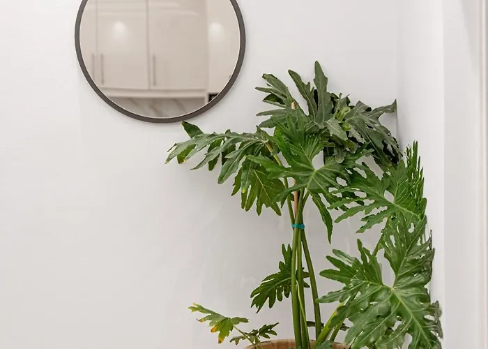 Meraki Prázdninový dům *