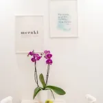 Meraki 里科索翁